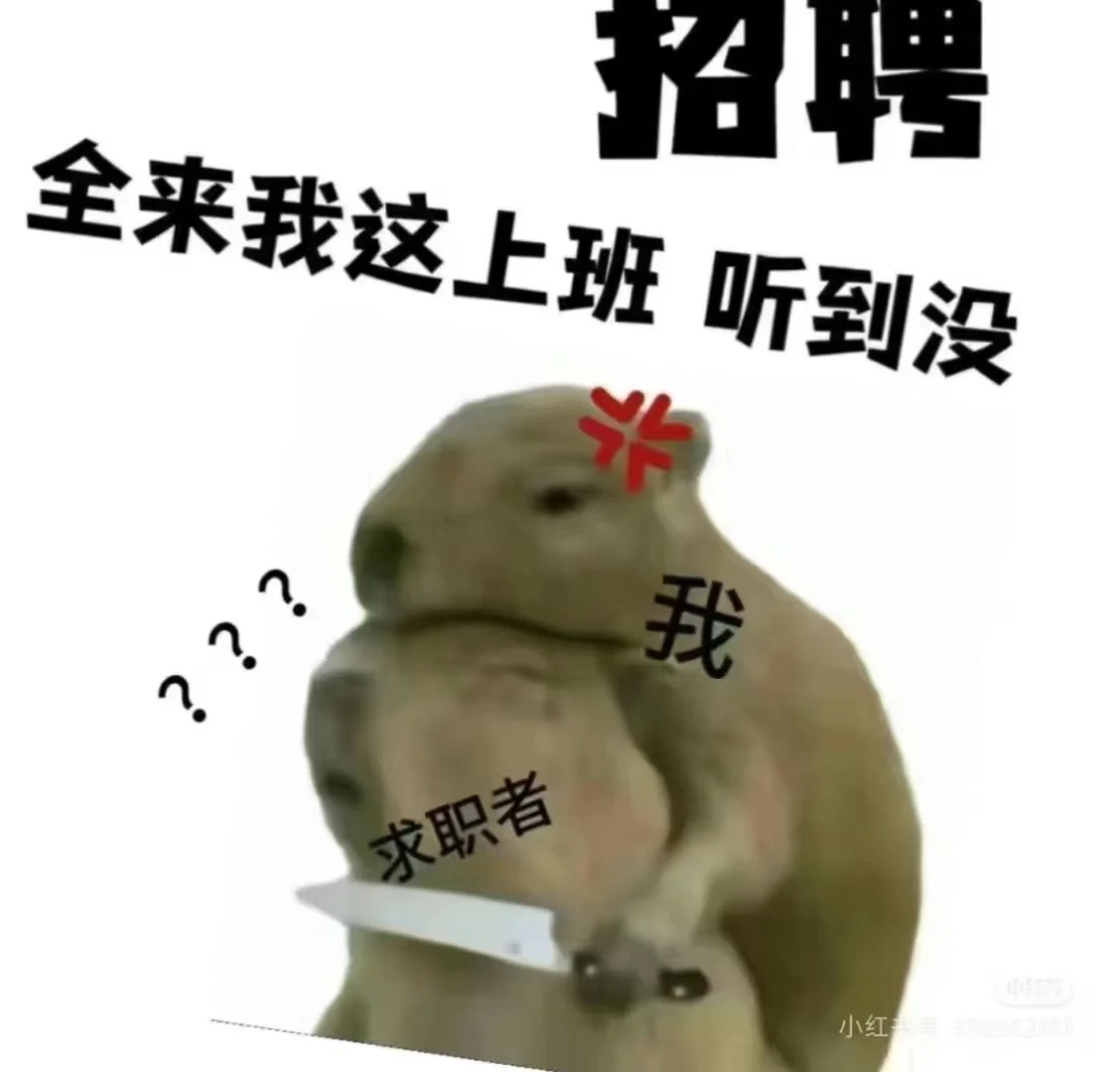 这是一条正儿八经的招聘～