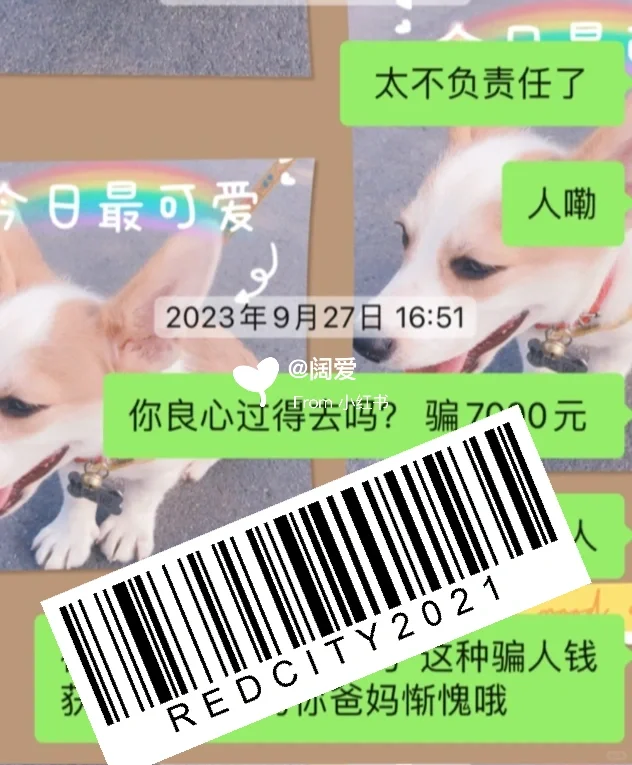 避雷公司：“蚂蚁快招”又称“云聘信息”