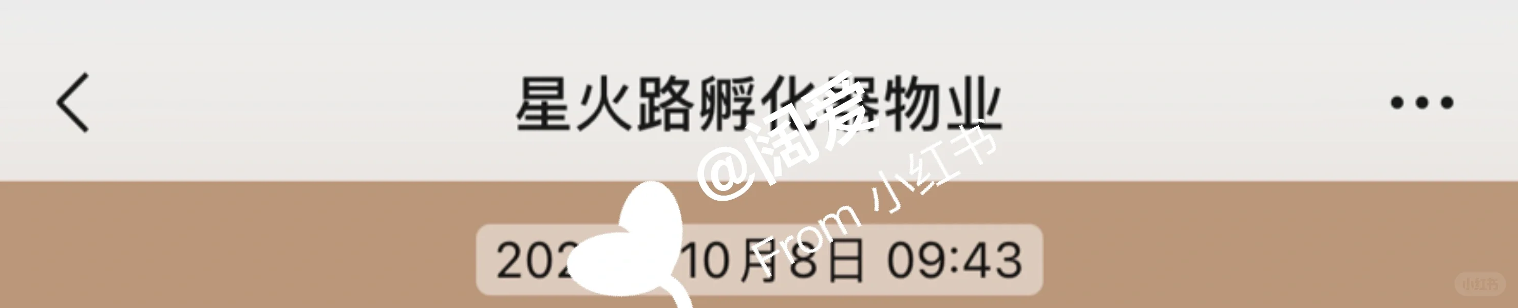 避雷公司：“蚂蚁快招”又称“云聘信息”