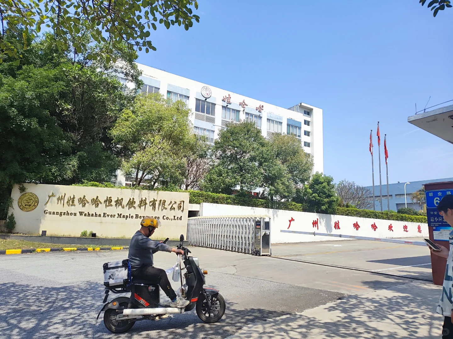 ?娃哈哈一天 300？真有这么好吗？?