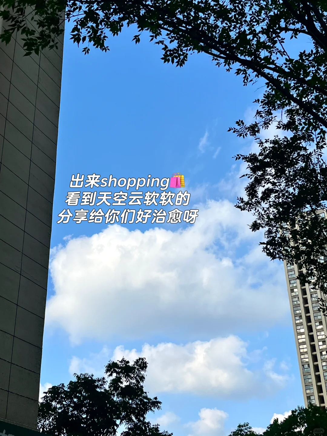 南京传媒公司? 打工人实习一天vlog