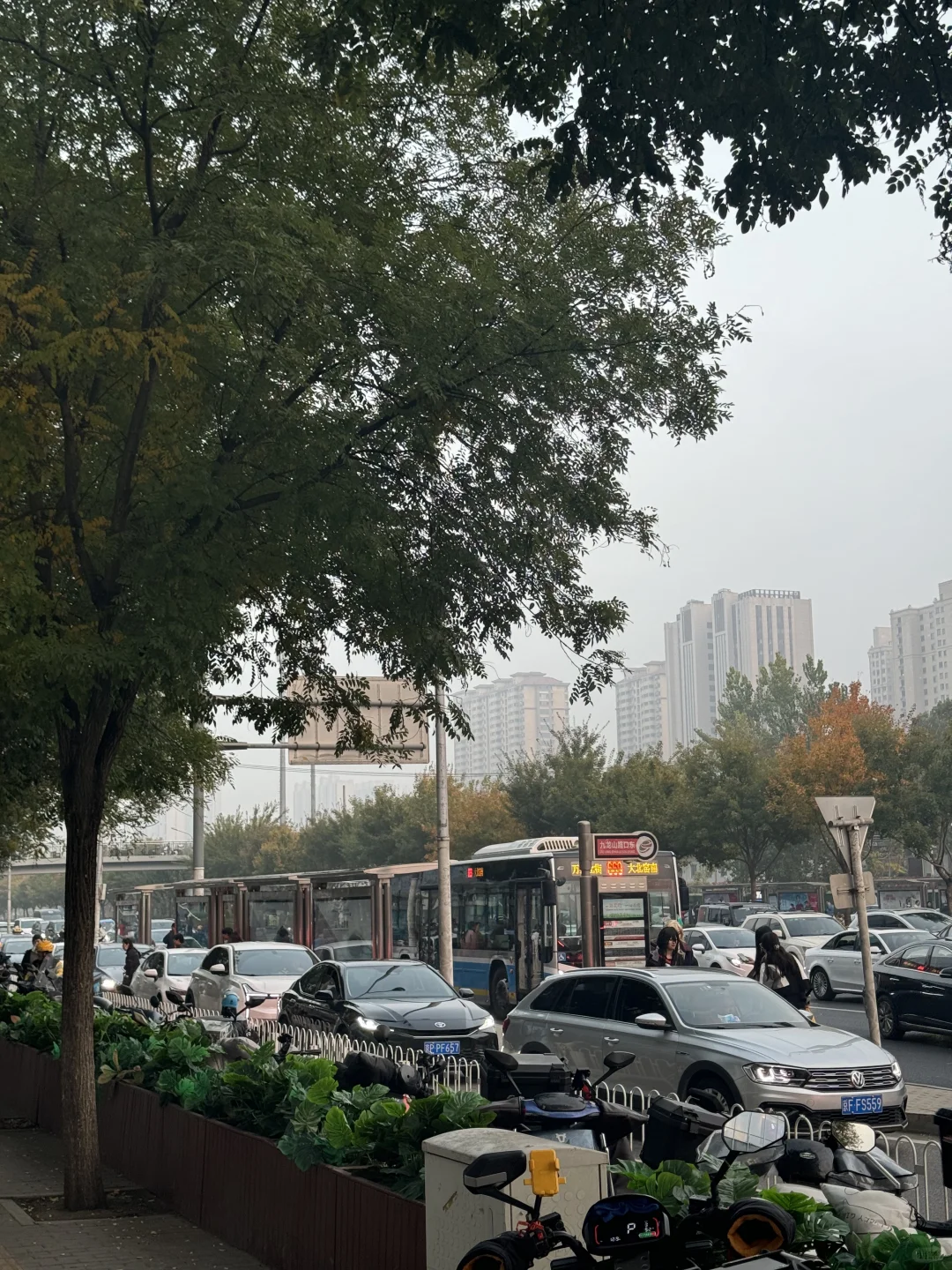 ??08小孩儿的乐华面试