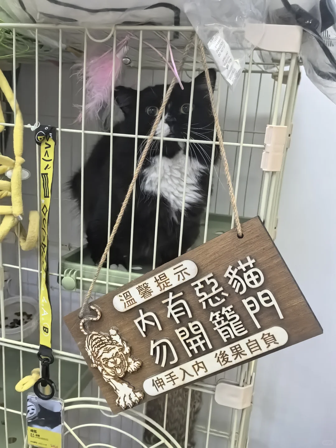 找哔哩哔哩实习继任啦|快快看过来?