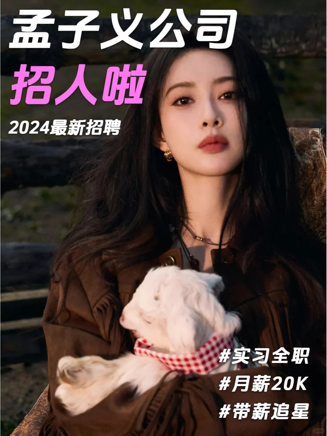 孟子义公司招人啦❗孟姐看看我?~