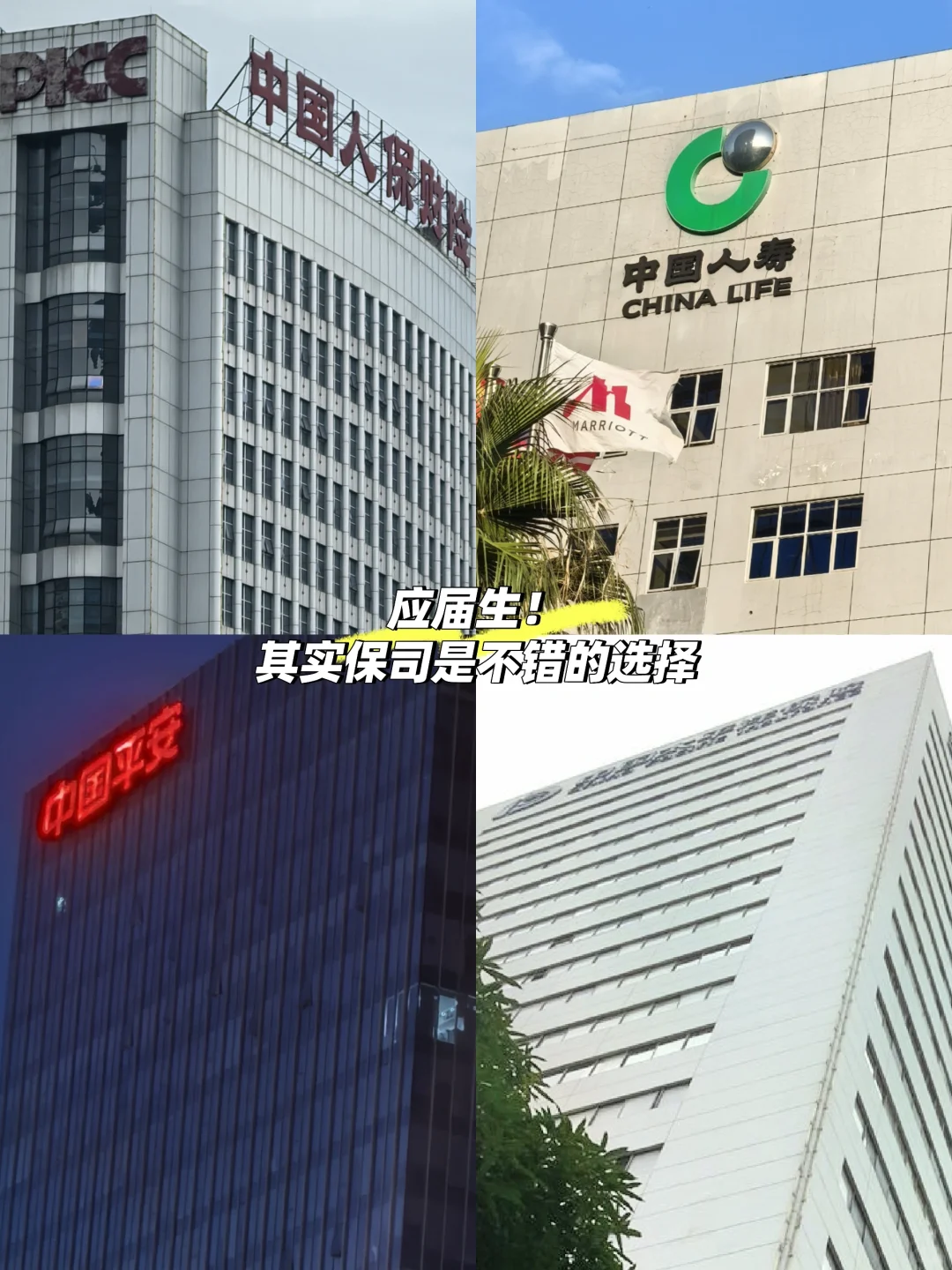 应届生！其实进保司是个不错的选择?