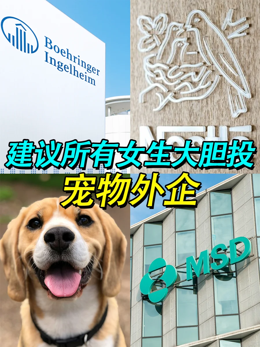 宠物外企是真的好进，上班也太快乐了！