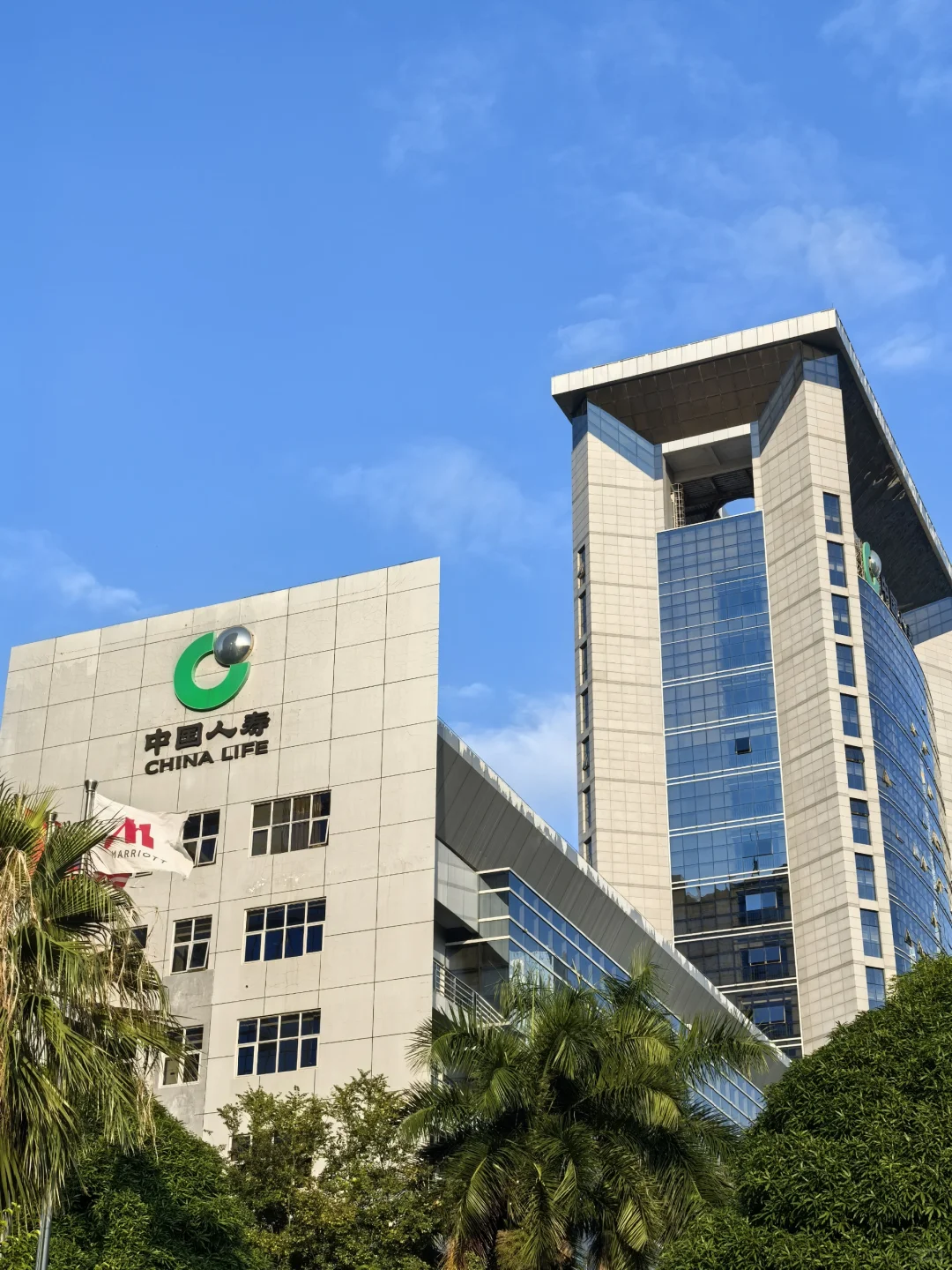 应届生！其实进保司是个不错的选择?