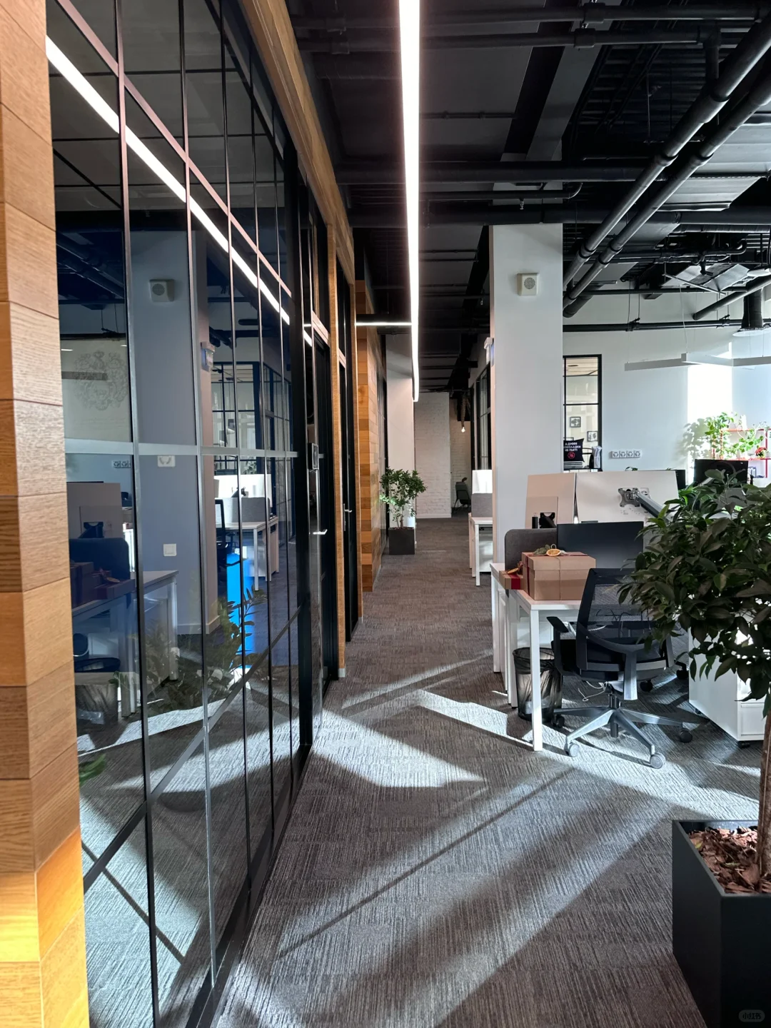 My office in Moscow ?? 这是我的办公室
