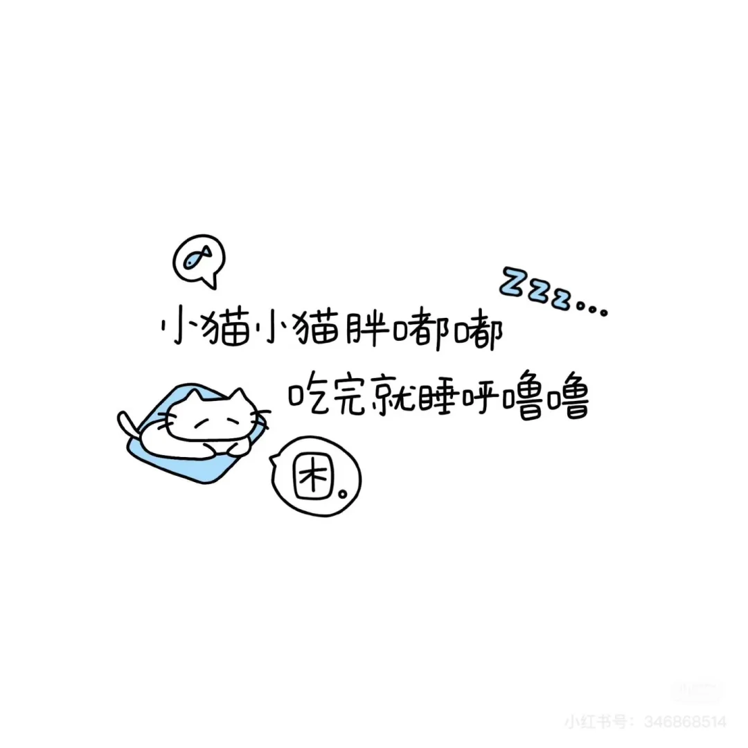 任丘猫咖招聘