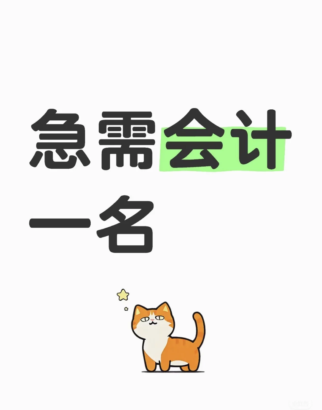 招聘会计一名