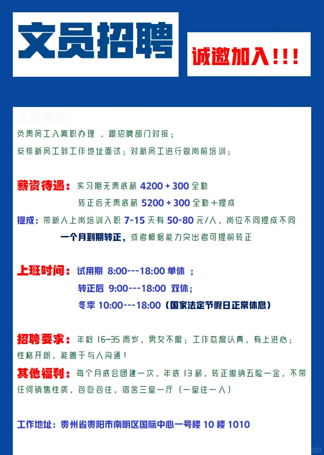 公司开始招同事啦！！！