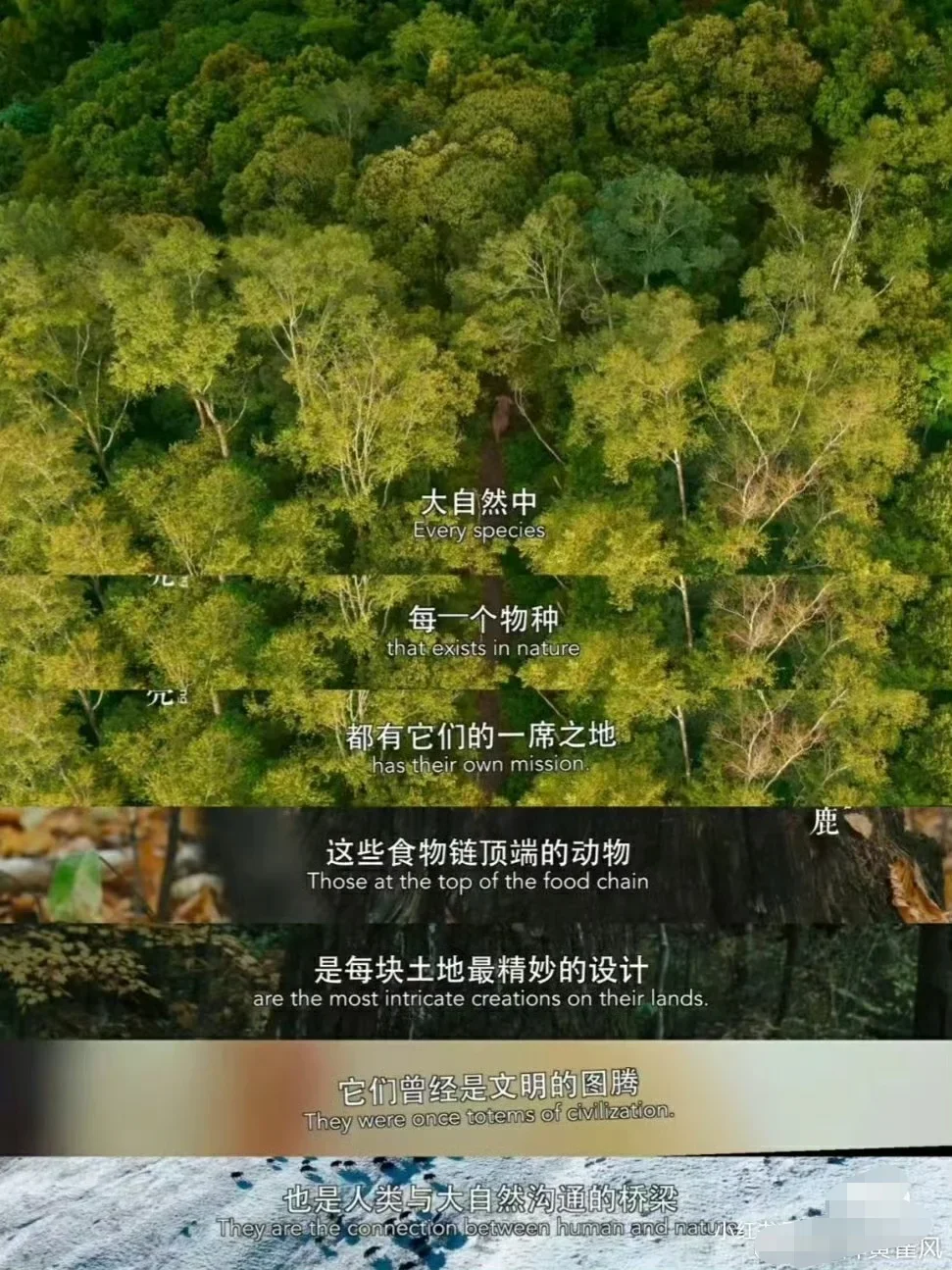 过年?我看完这7部纪录片，突然不抑郁了