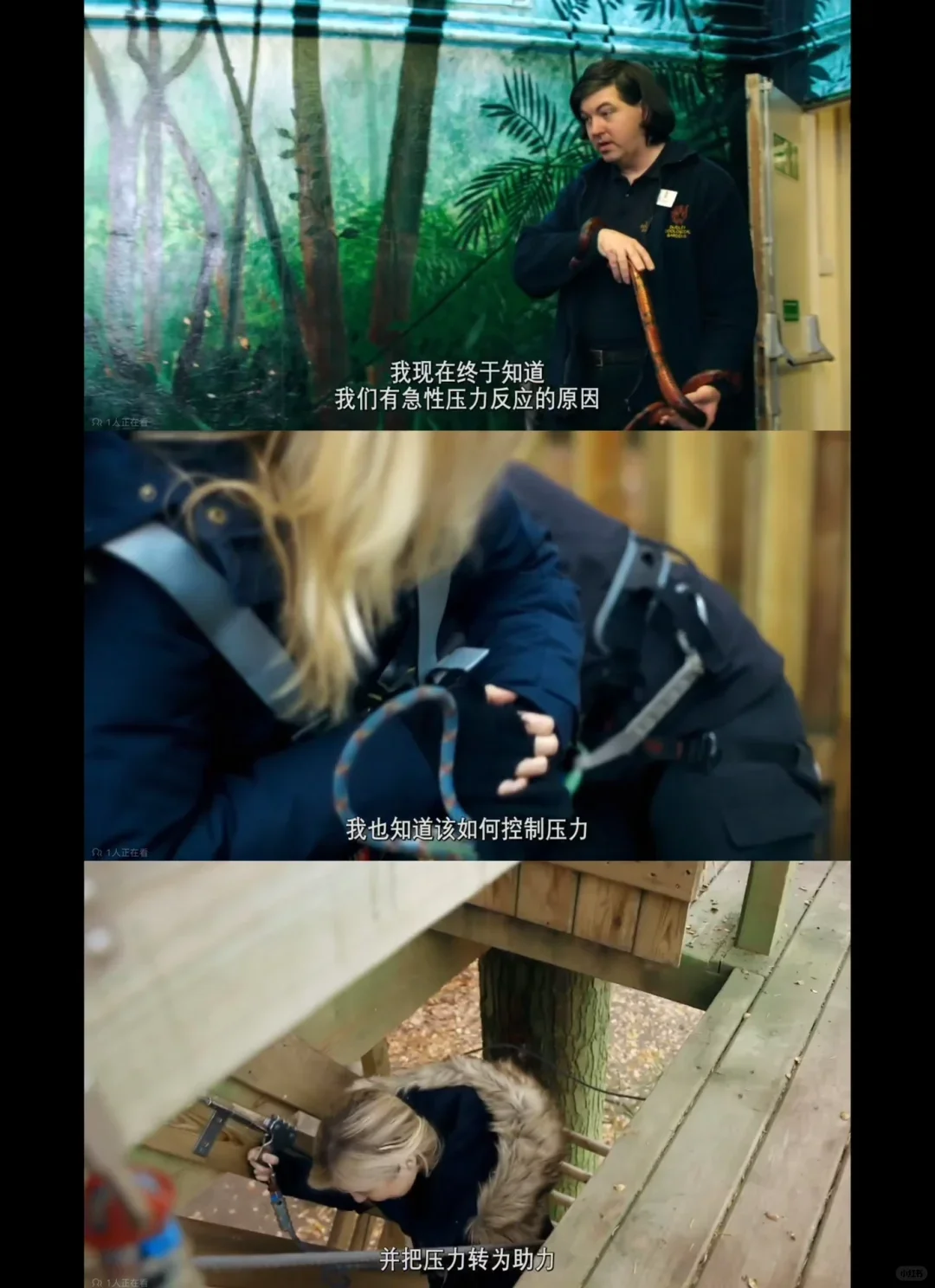 过年?我看完这7部纪录片，突然不抑郁了