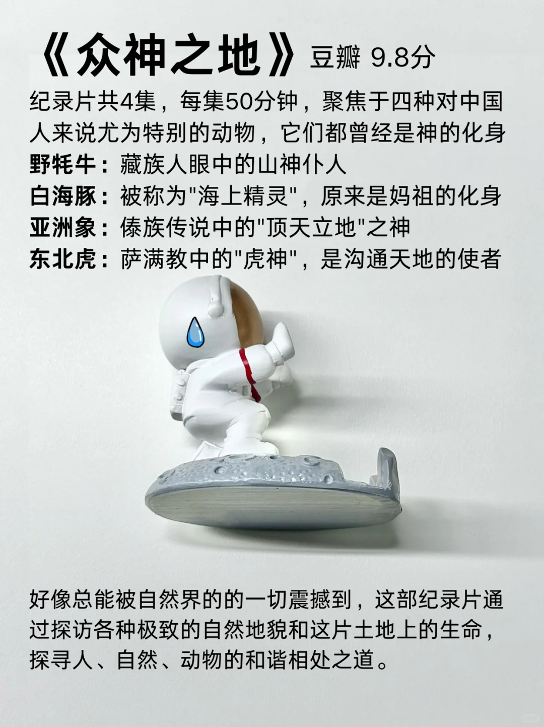 过年?我看完这7部纪录片，突然不抑郁了