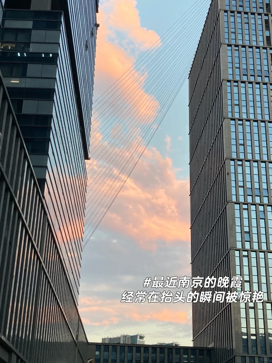 MCN到底怎么选岗位？终于有人说清楚了