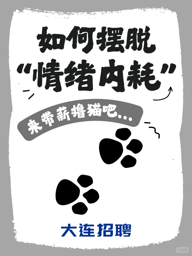 宠物公司寻找一个饭搭子，一起没事撸撸猫