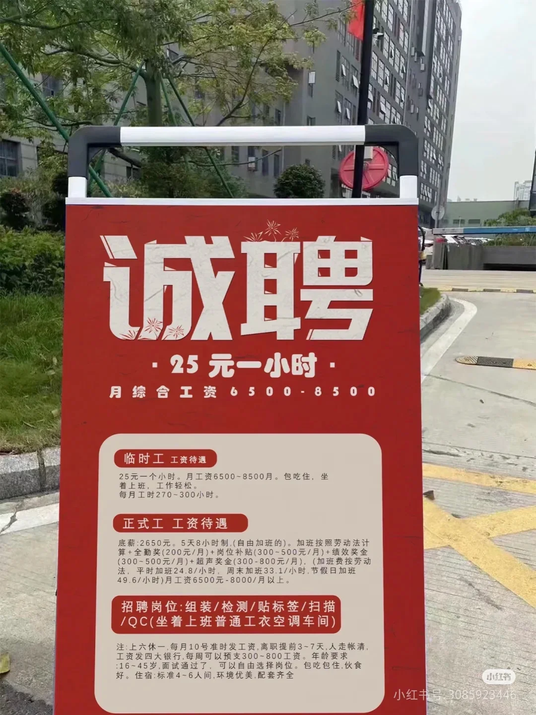 北京国贸附近公司招聘文员（包住）