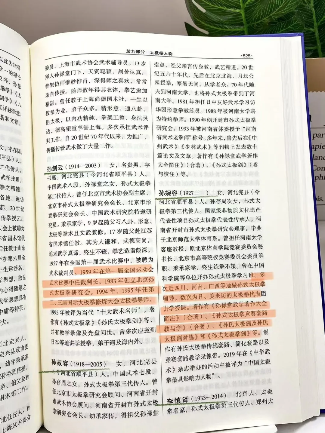 孙式太极拳-杨丽太极拳知识大全