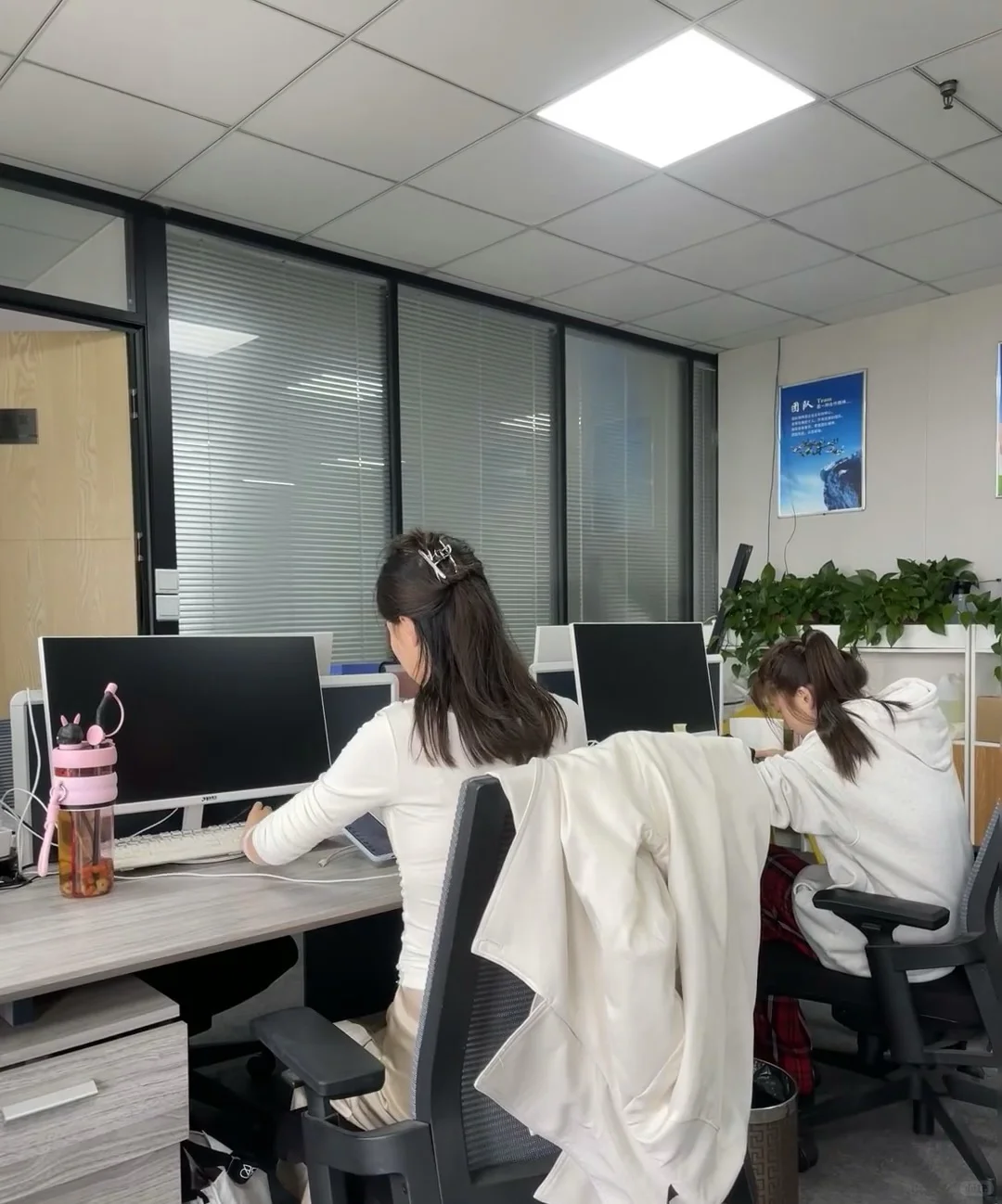集美招聘专员