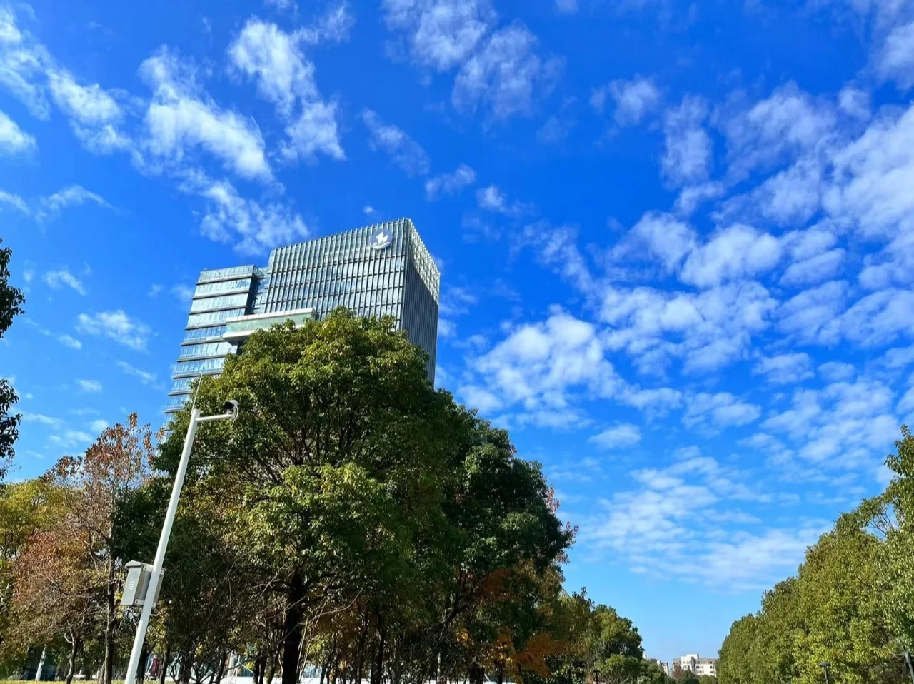 省聘书记员辞职了