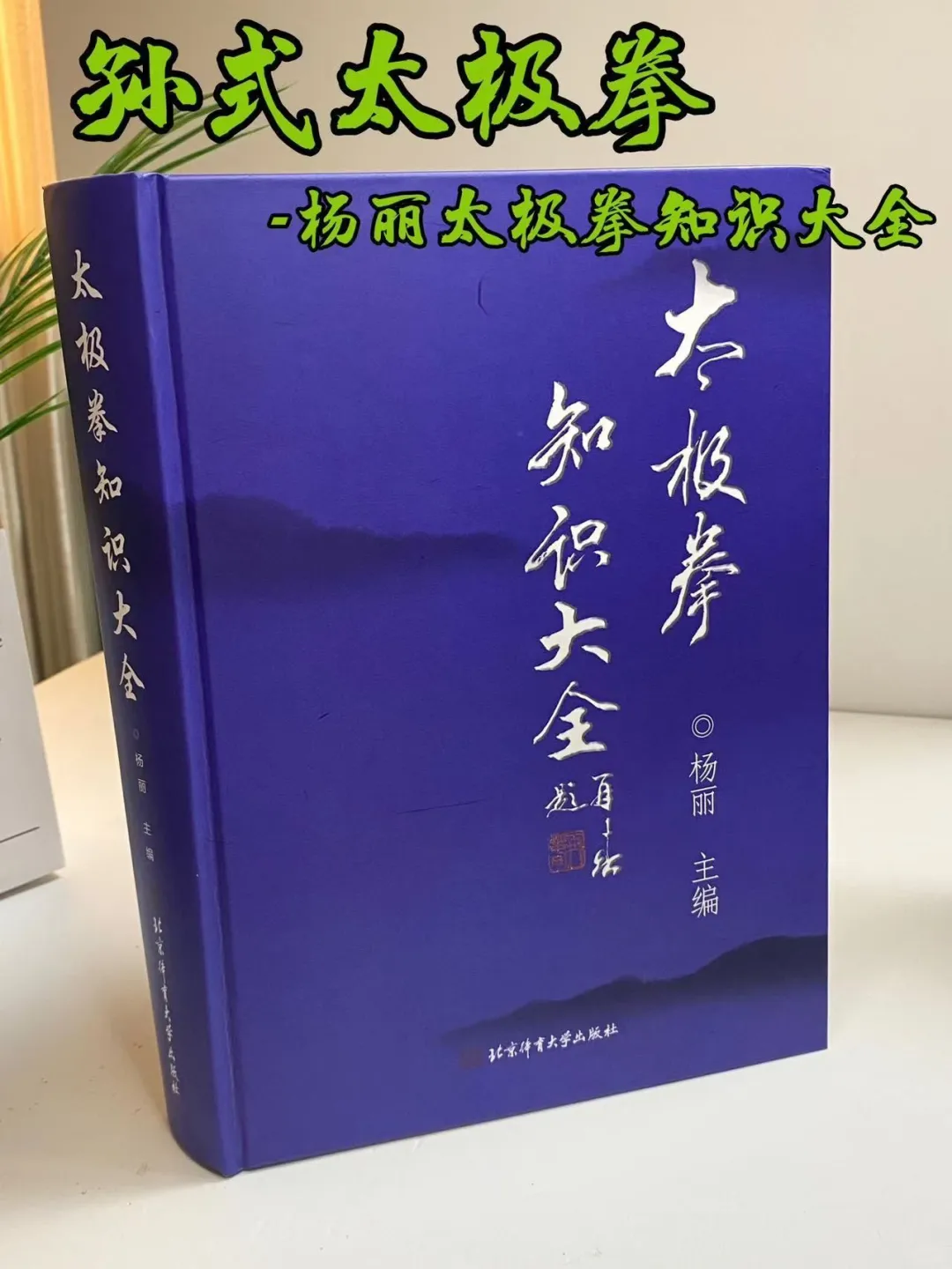 孙式太极拳-杨丽太极拳知识大全