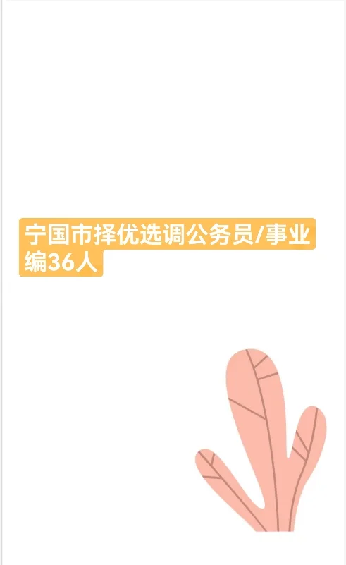 宁国市择优选调(选聘)36人公告