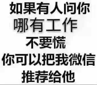 招的小姐姐啊