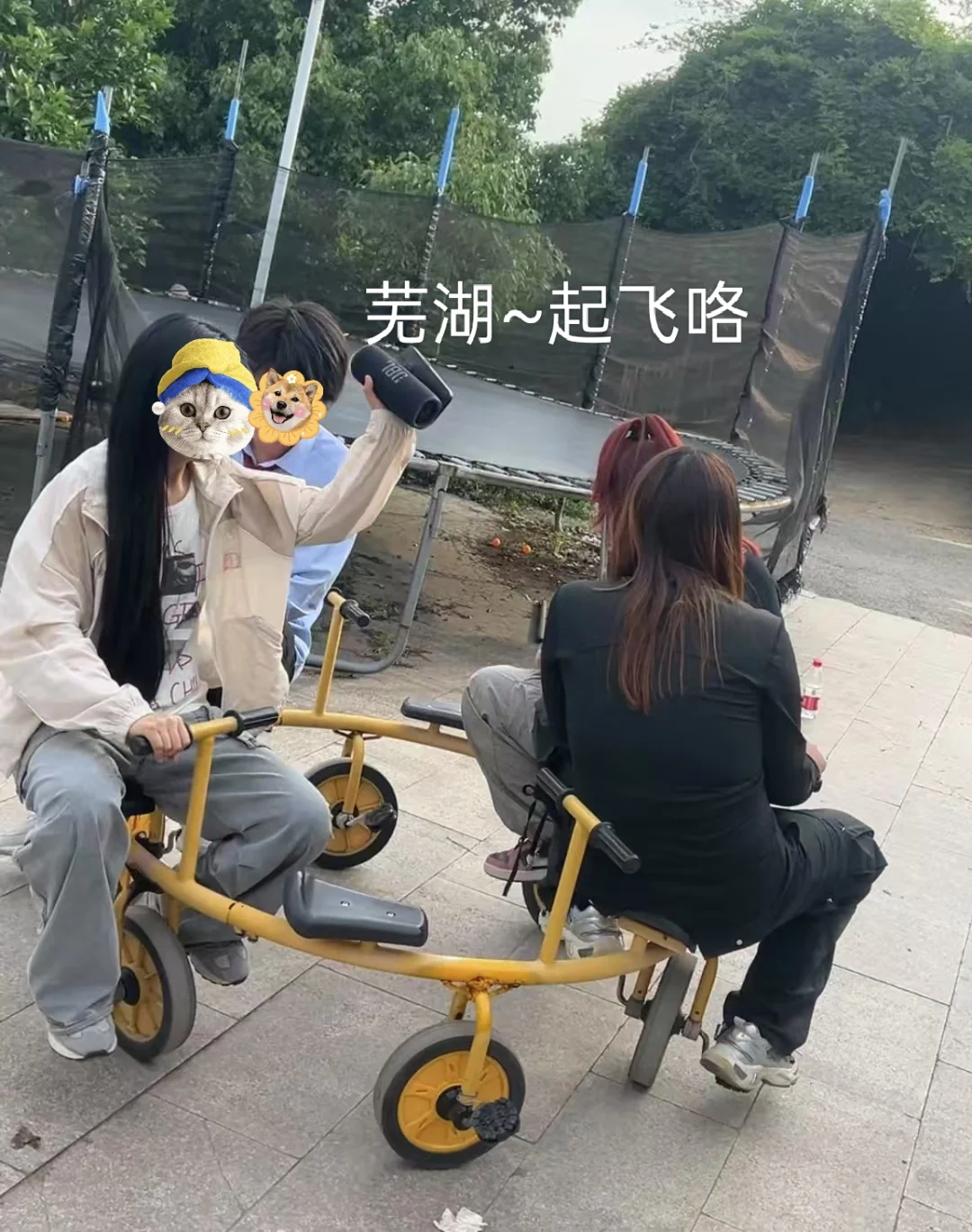 救命！是真的神仙公司！