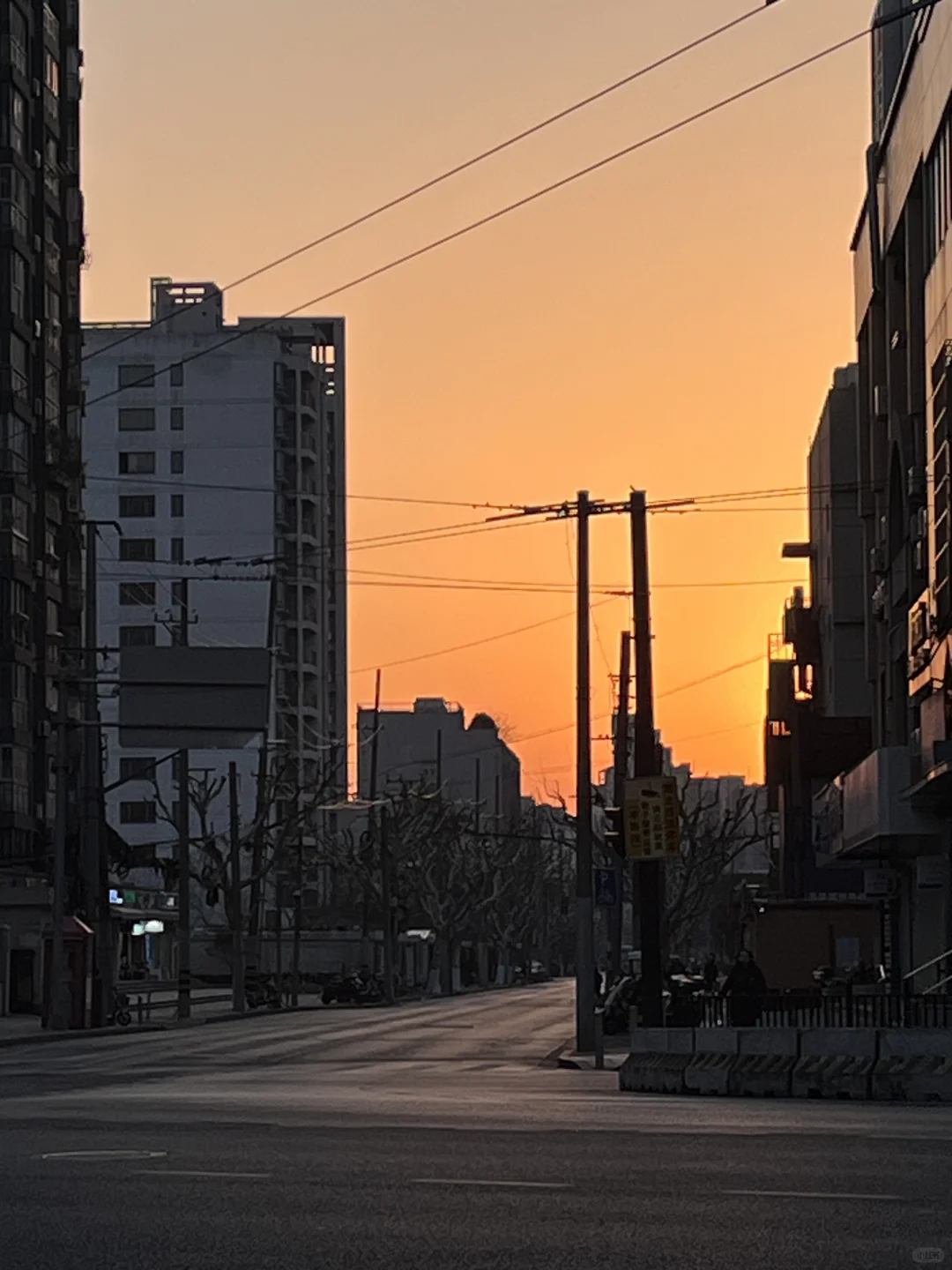 开工日日出大道