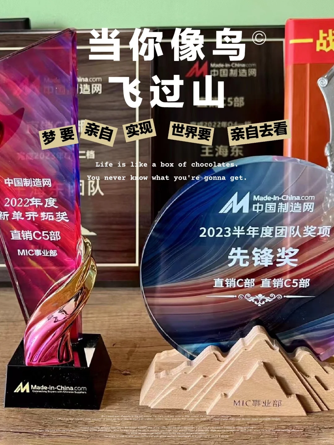 寻找优秀的的你！（上市公司岗位招聘）
