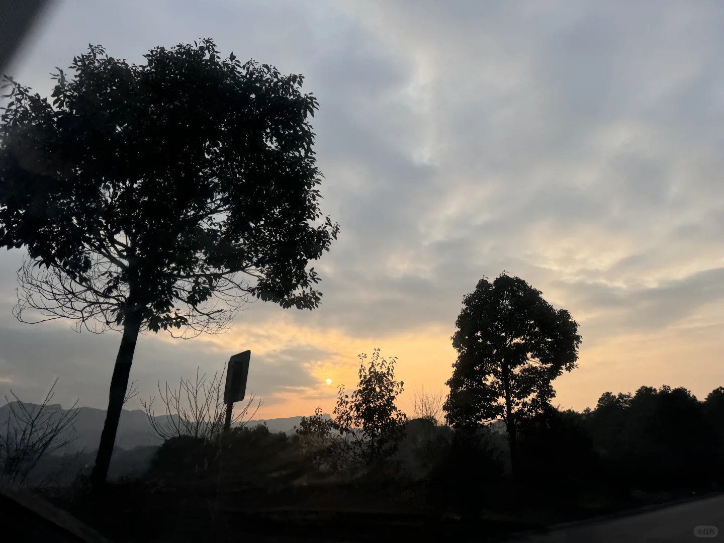 求建议