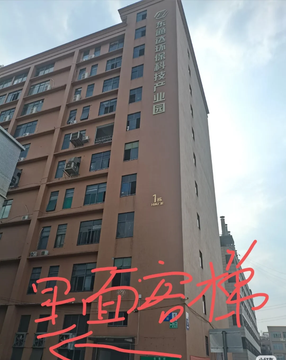 招人了！！虎门龙眼！
