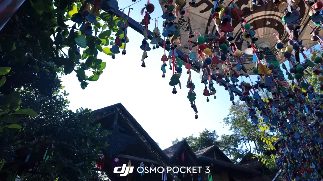 大疆pocket3出租