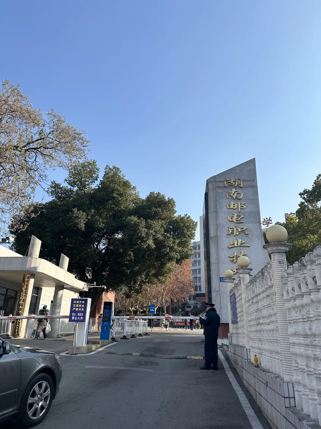 只要卷不死，就继续卷