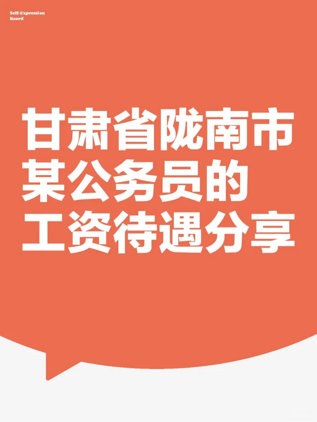 甘肃省陇南市某公务员的工资待遇分享