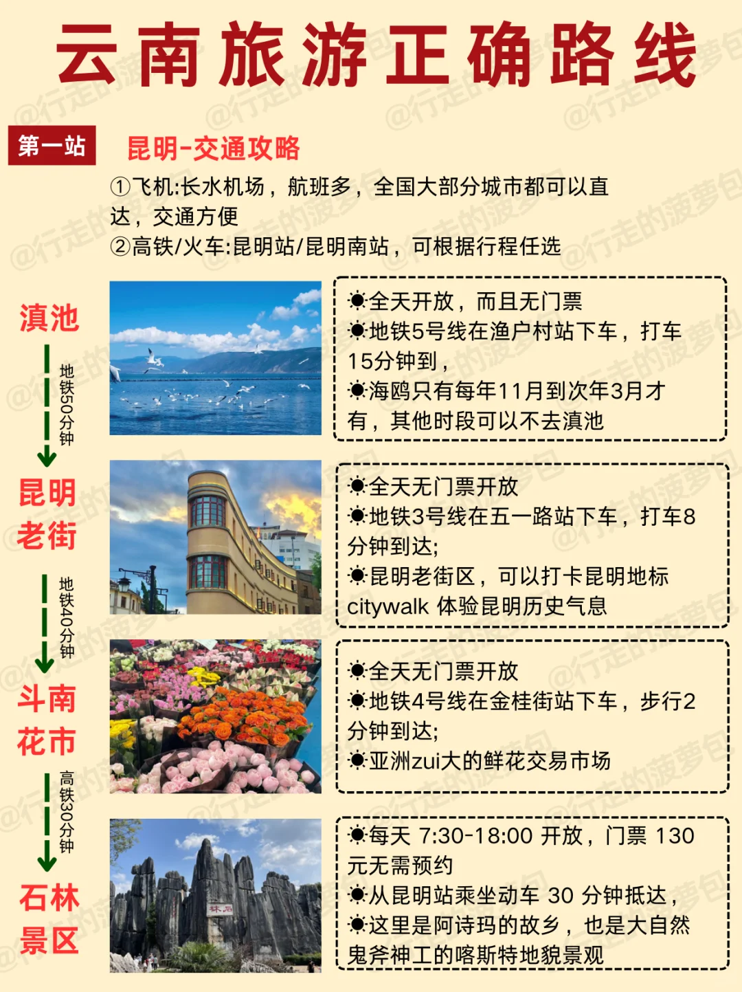 2-3月去云南旅游，顺序千万不要搞反啦！