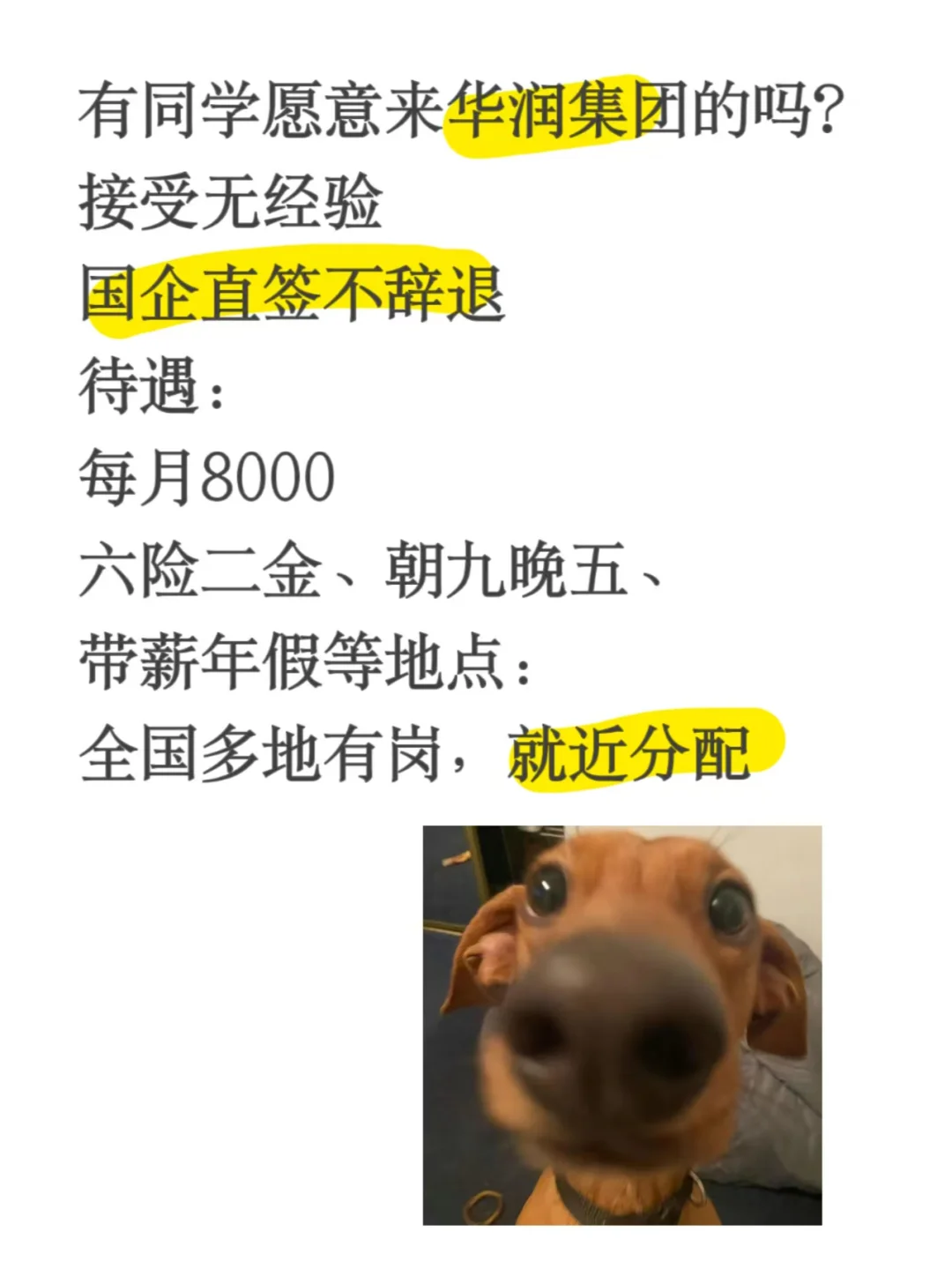 华润集团放5000+岗位，急要人！