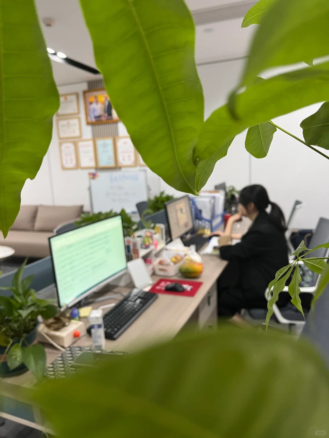 重庆招聘！还招个小姐姐和我一起做同事