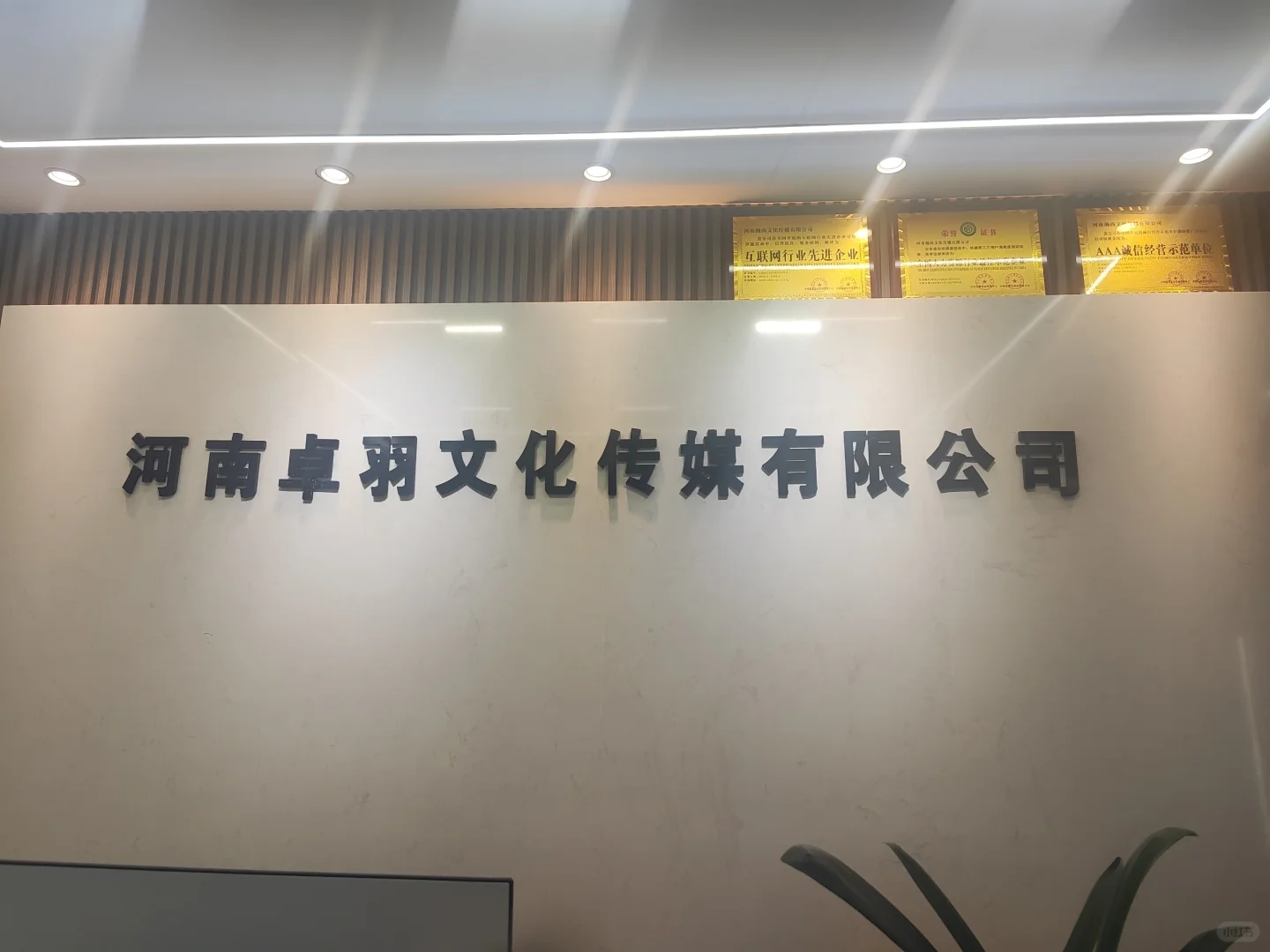 避雷郑州公司，脸被毁了