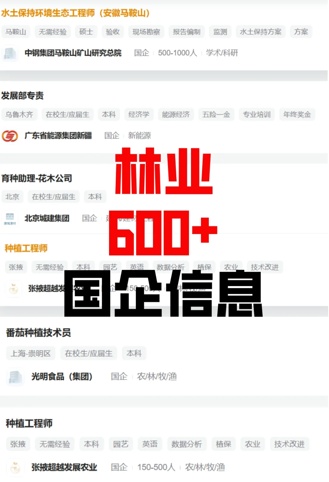 林学类国企岗位捞人啦！