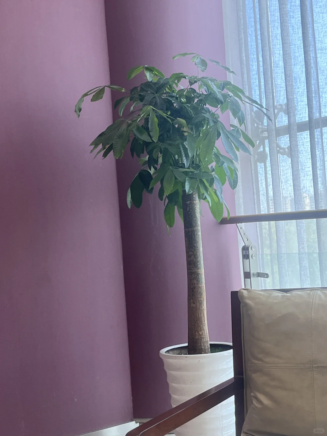 没人愿意干这随时摸鱼的好工作吗
