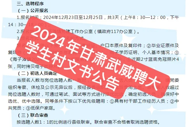 2024年甘肃武威聘大学生村文书公告