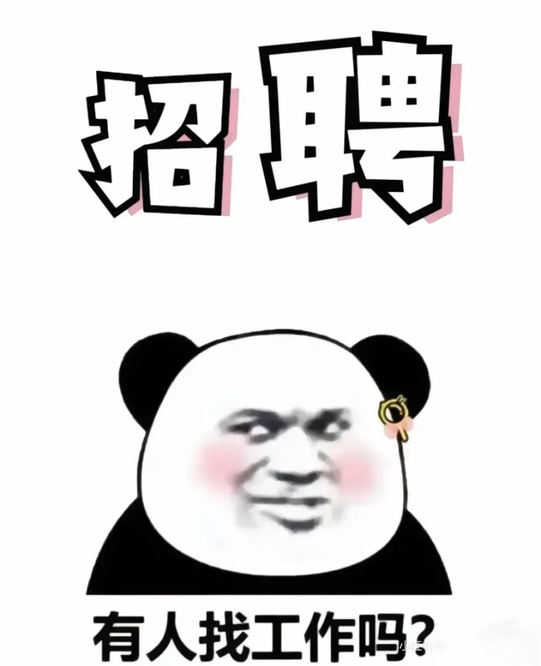 继续招人?