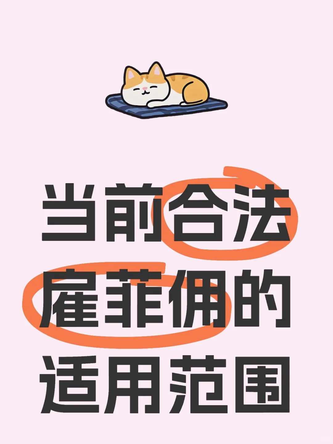 当前合法雇菲佣的适用范围
