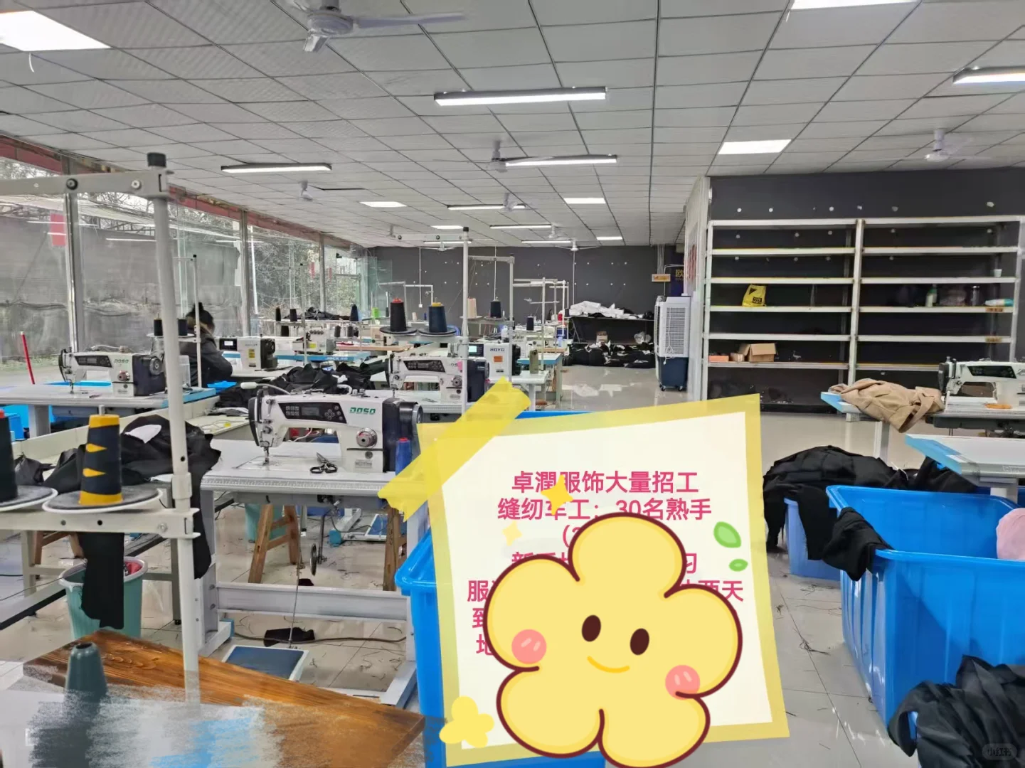 绵羊