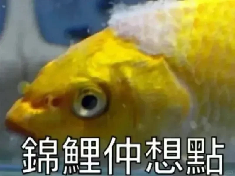 南沙教师职称，3日全套材料