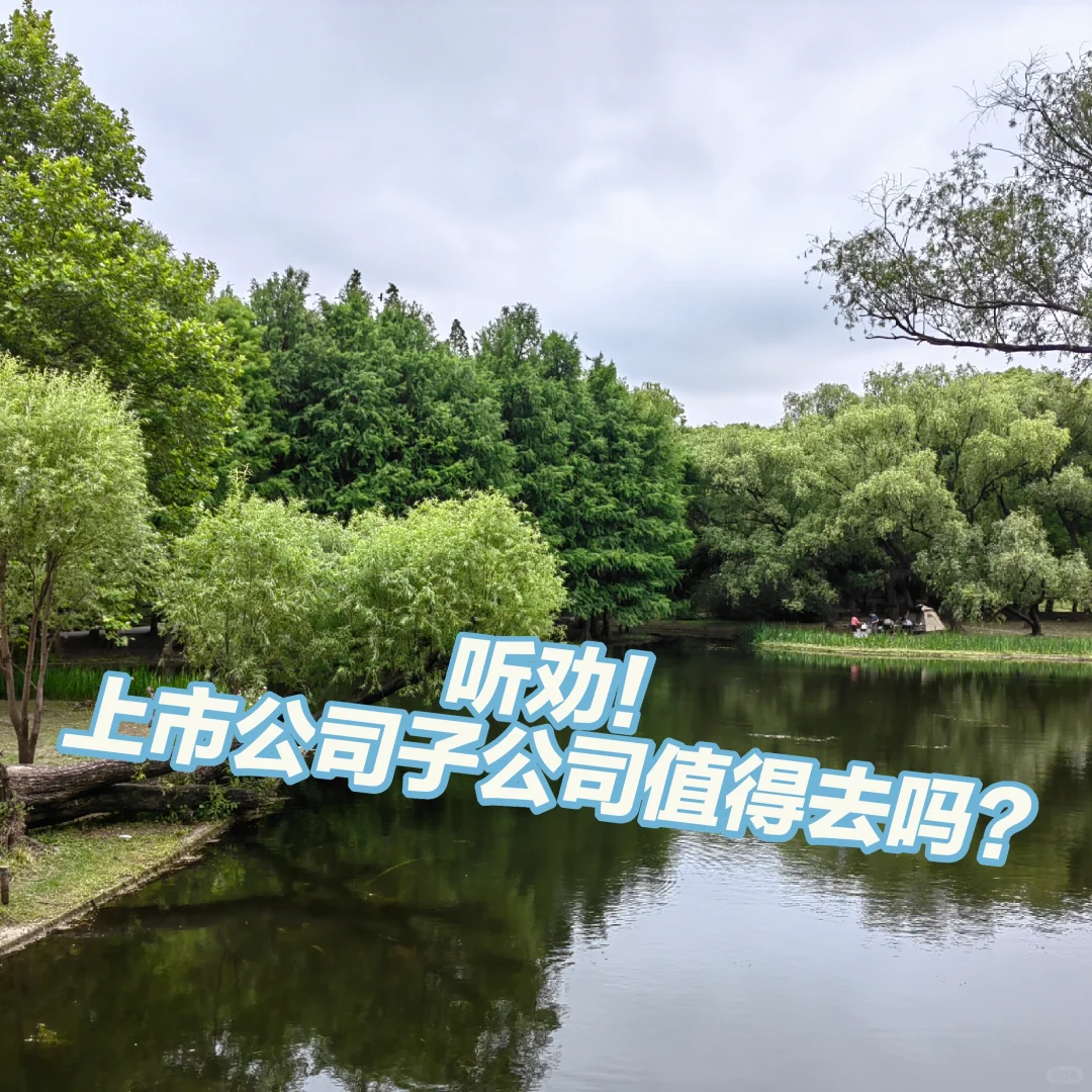 听劝!上市公司子公司值得去吗?