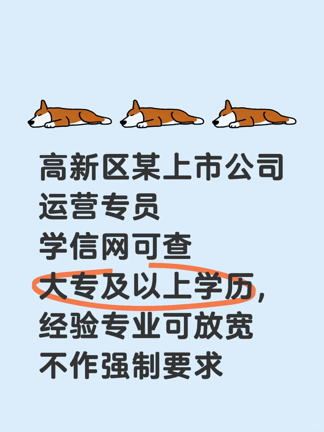 运营专员