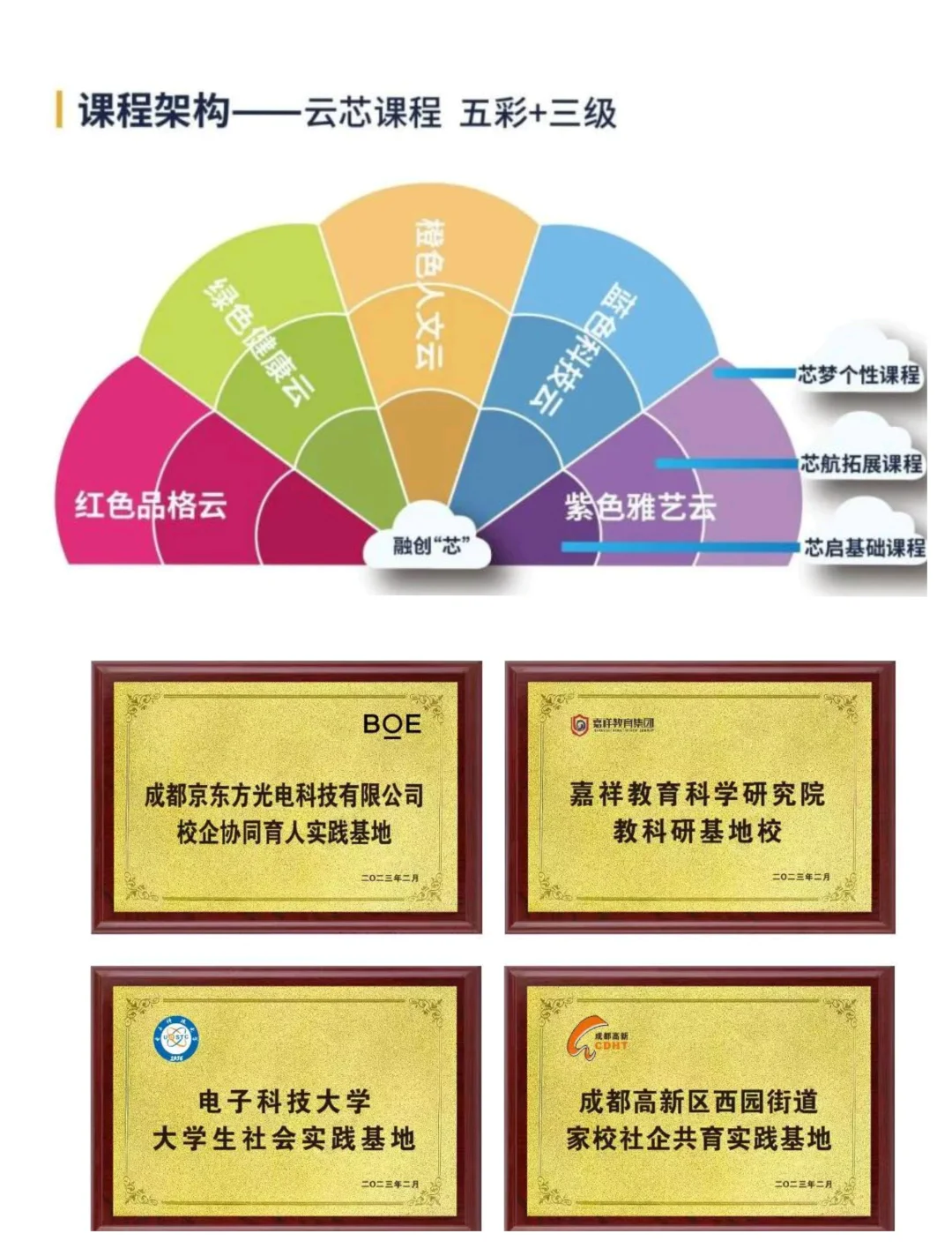 公办“嘉祥”是噱头❓