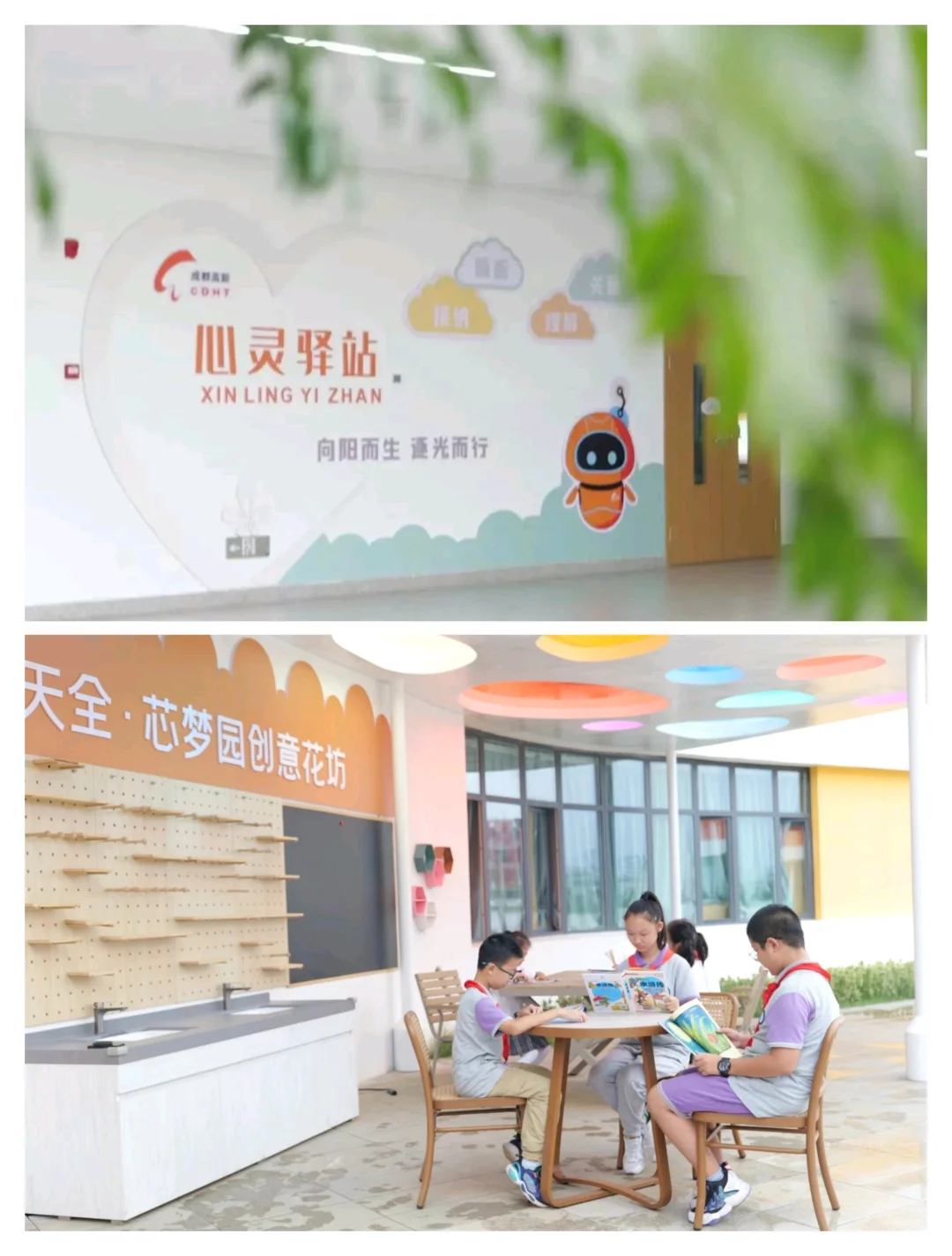 公办“嘉祥”是噱头❓